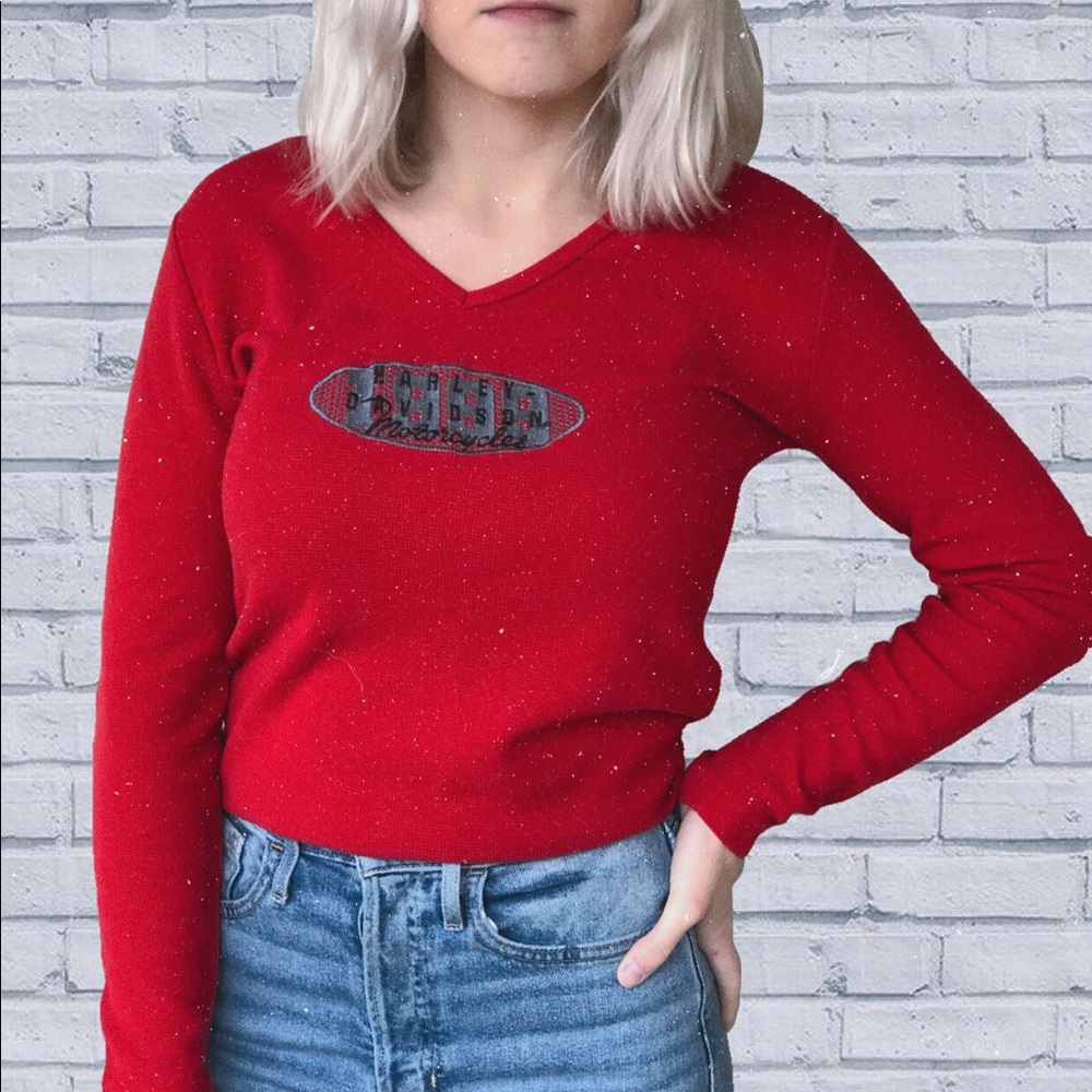 Vintage Harley Davidson shirt